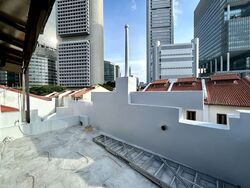 Boat Quay Conservation Area (D1), Shop House #627804601